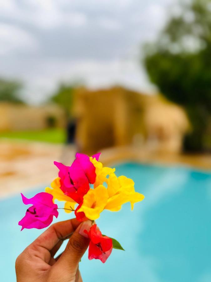 Hotel Golden Safari Jaisalmer Zewnętrze zdjęcie